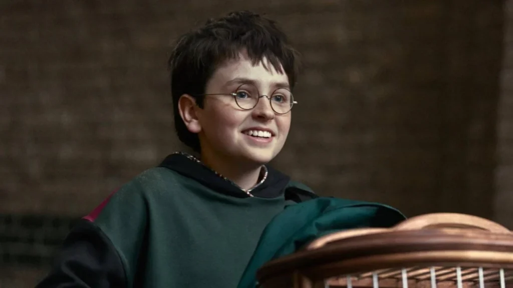 Harry Potter HBO