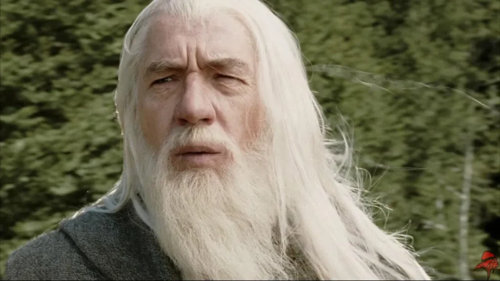 Ian Mckelle Gandalf