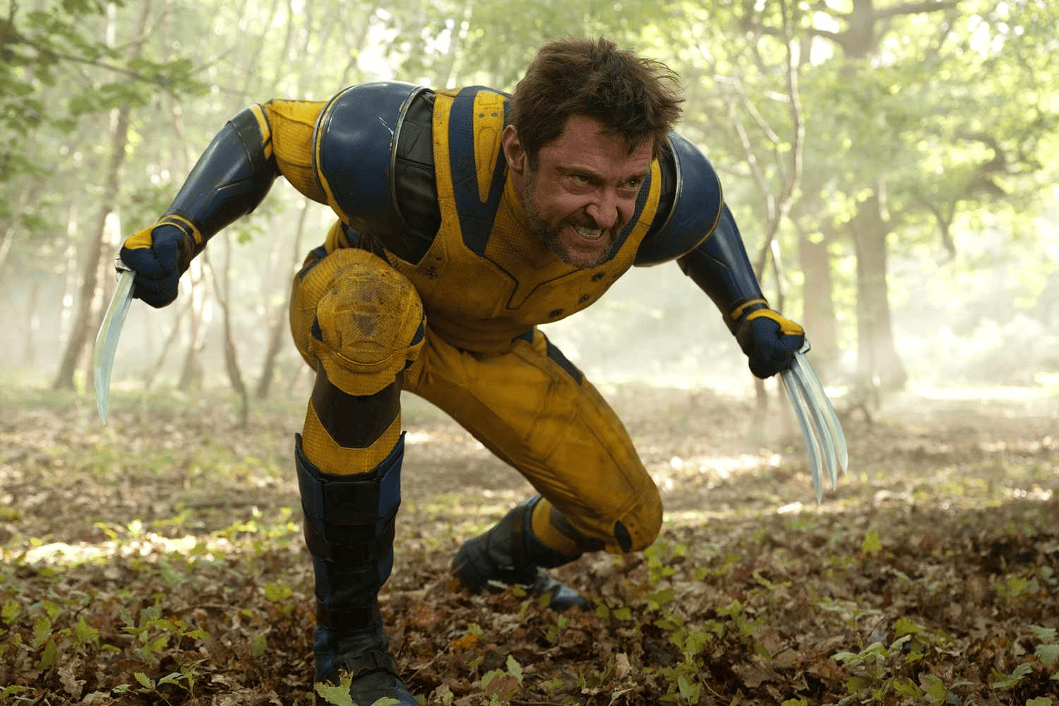 Hugh Jackman, wolverine